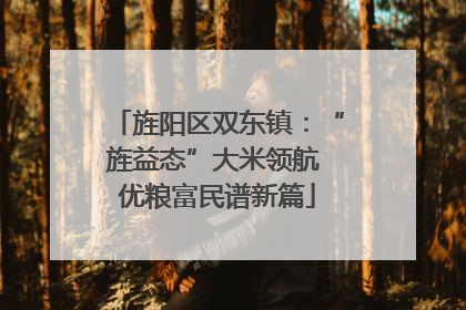 旌阳区双东镇：“旌益态”大米领航 优粮富民谱新篇